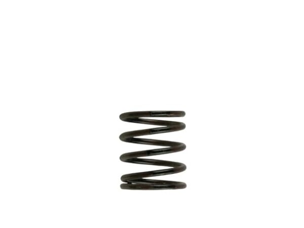 Turbosmart WG40 3PSI Inner Spring Brown/Black (TS-0505-2001)