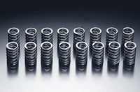 HKS Outer Valve Spring Set