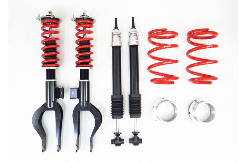 RS-R 18-21 Tesla Model 3 (AWD) Sports-i Coilovers (rsrXBITL002M)